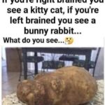 These are the signs that he is cr…