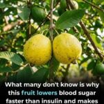 He made fun of an old woman in business class — but then the pilot said something that made everyone cry.