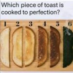 Do You See a Cat or a Rabbit? This Optical Illusion Is Confusing Everyone