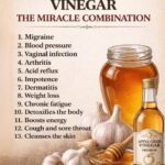 The Powerful Leaf People Are Talking About — What the Research Really Says