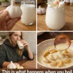 Garlic, Honey, and Apple Cider Vinegar: Benefits, Recipe