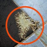 A Girl Appeared Beside My Hospital Bed — Then She Said My Name