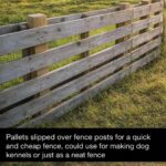 8 Reasons to Leave Purslane Growing — The “Weed” That’s Actually a Superfood