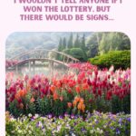 Avocado Pit Tea: The Surprising Herbal Drink With Powerful Health Benefits