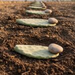 People rarely pay attention to the tiny metal