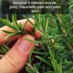 Fruit Cake 7-Layer Bars