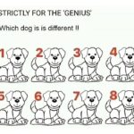 So, I Found This Weird Nook in My Hallway…