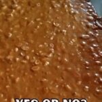 “Beef vs. Beans: The Nutritional Showdown You Didn’t Expect”