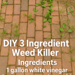 Unlock the Power of Goosegrass: 8 Must-Know Health Benefits and Uses