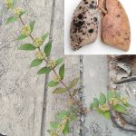 Turn on your headlights for 10 seconds before driving to save money