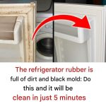 Why Seniors Should Wear Socks Even at Home