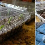 Sweet Alabama Pecan Bread – Moist Southern Dessert Loaf