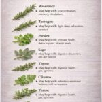 My son phoned and announced, “I’m getting married tomorrow. I’ve emptied your bank accounts and sold the house. Goodbye.” I laughed softly because he had no idea the house was never truly his to take.