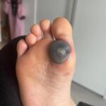 Silent, Swift, and Brutally Efficient: Nature’s Ultimate Mosquito Hunter