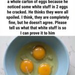 Nature’s Immune-Supporting Duo: Garlic & Honey Immune Booster