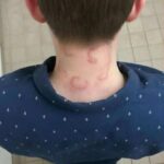 3 Ingredient Artisan Bread