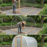 An Old Home Remedy Compress for Joint & Tendon Relief