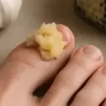 DIY Project Alert: Grow Your Own Furniture