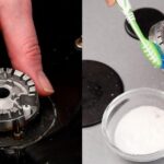 Barley’s Many Benefits, Properties and (Some) Contraindications