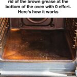 I soaked my strawberries in salt water and these white things wriggled out?