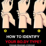 Choose One Ingredient To Live Without