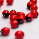 Cleanse Your Kidneys and Prostate Naturally With This Delicious 3-Ingredient Juice