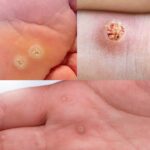 Did you know that eating bananas increases… See more