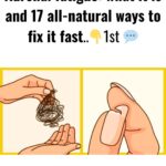 What It Means If You See a Yellow Ladybug