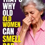 Some recommendations for air fryer users