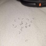 The Tiny Hole on Your Nail Clipper — and Why Small Design Details Matter More Than We Realize