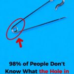 The 12 Most Contaminated Fish to Avoid at the Grocery Store