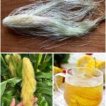 Don’t Toss Those Worn Dish Towels Just Yet!