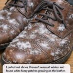 My Friend’s Grandparents Passed and He Grabbed These — But Has No Idea What They Are