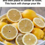 Never place your Mother-in-Law’s Tongue plant in this location!