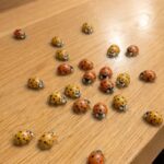 How to preserve parsley and keep it fresh for a year: the chefs’ method