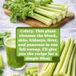 5 Foods Rich in Estrogen Women Should Eat for Hormonal Balance, Smooth Skin, and Youthful Energy