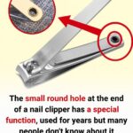 Woke Up To This On Your Bed? The Truth Will Shock You!