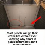 Leaving Butter on the Counter: Is It Safe? (Yes—If You Do It Right)