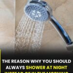 Which Woman is the Most Attractive? Your Choice Reveals Your Personality