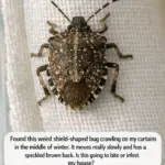 How long can a woman live without physical inti.macy?