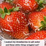 This plant k.i.l.ls 86% of lung cancer cells