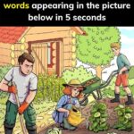 Weak or Brittle Nails: What Your Body Is Trying to Tell You