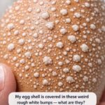 No talking. The flower you pick will reveal your true character trait.