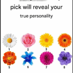 My egg shell is covered in these weird rough white bumps — what are they?