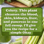 Don’t Throw Them Away Anymore: How to Use Eggshells for Your Health and Your Plants