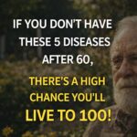 Saw this at an estate sale by the kitchen sink. It looks like a bar of soap but it’s made of solid metal and has no smell.