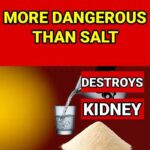 The Hidden Power of Common Blue Violet (Viola sororia) and Its Homemade Uses