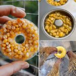 With this remedy not only will you perfume your home, but the mosquitoes will never return