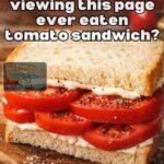 Blueberry Cloud Cake