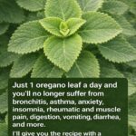 Pineapple Pound Cake